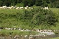 (85) Au plateau de Sanchèse